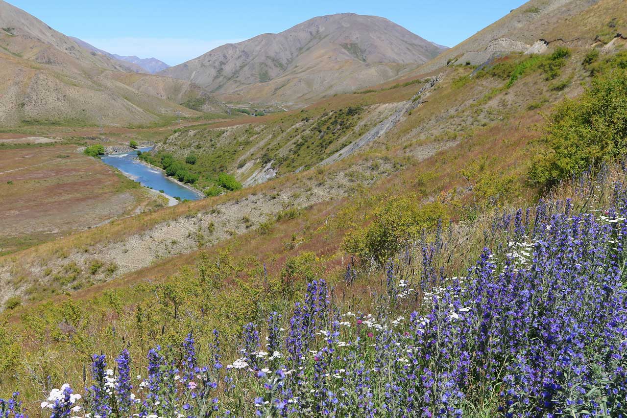 Molesworth Station Tour