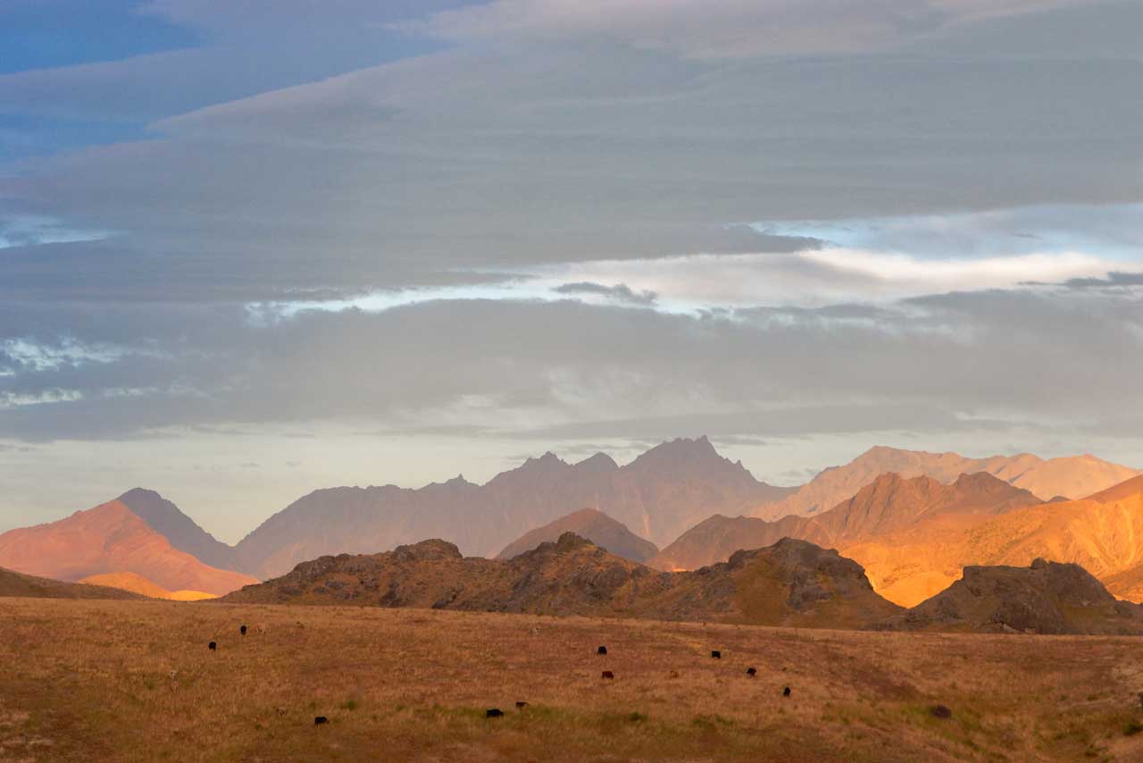 Molesworth Station Tour