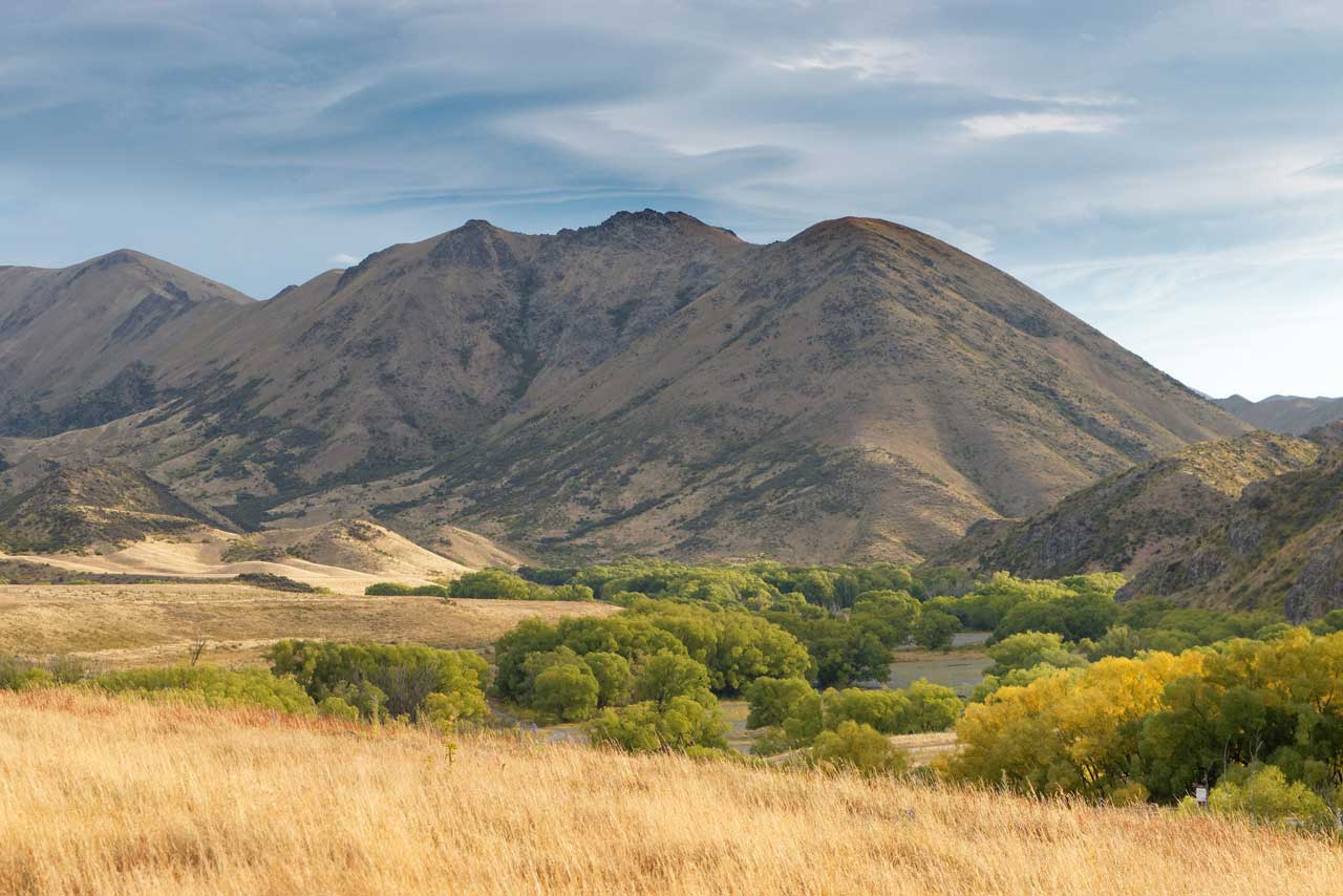 Molesworth Station Tour