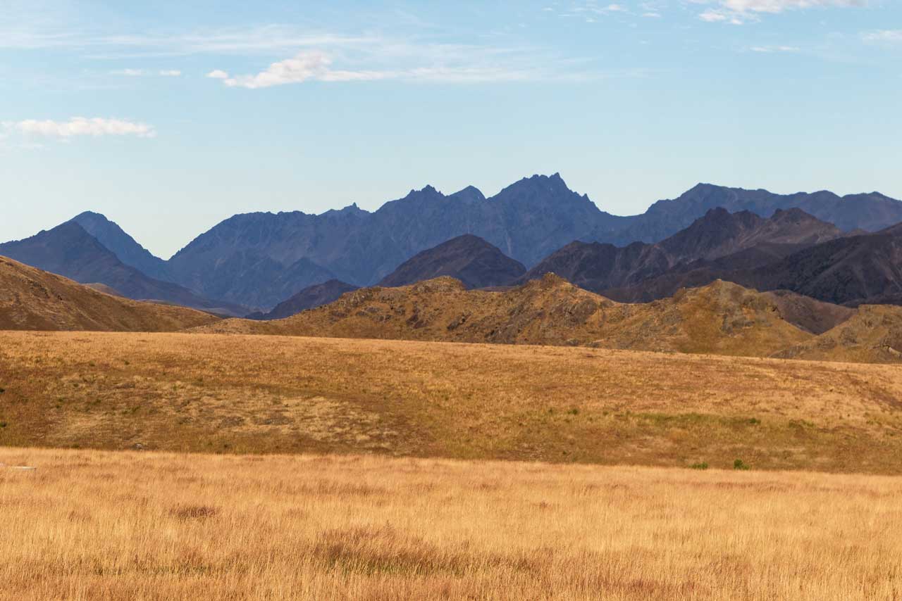 Molesworth Station Tour