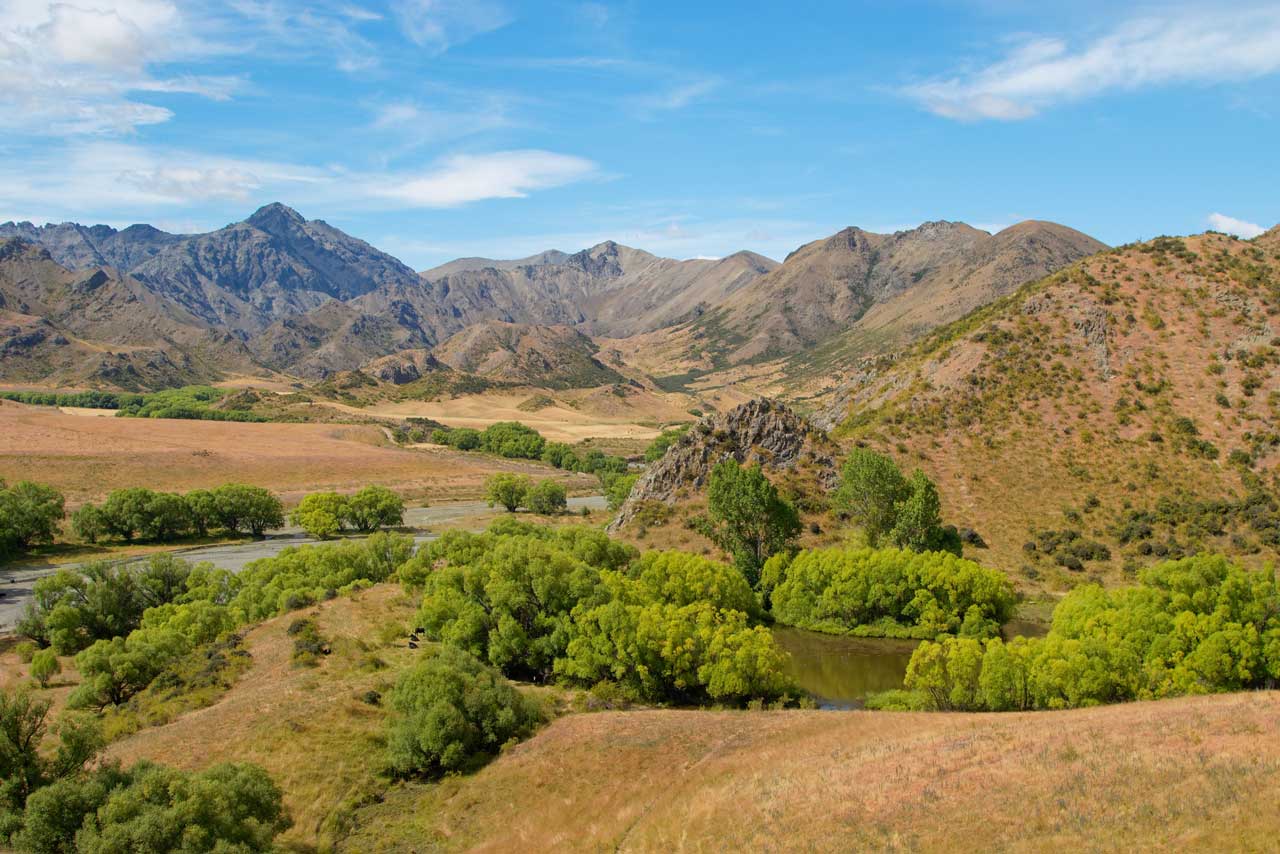 Molesworth Station Tour