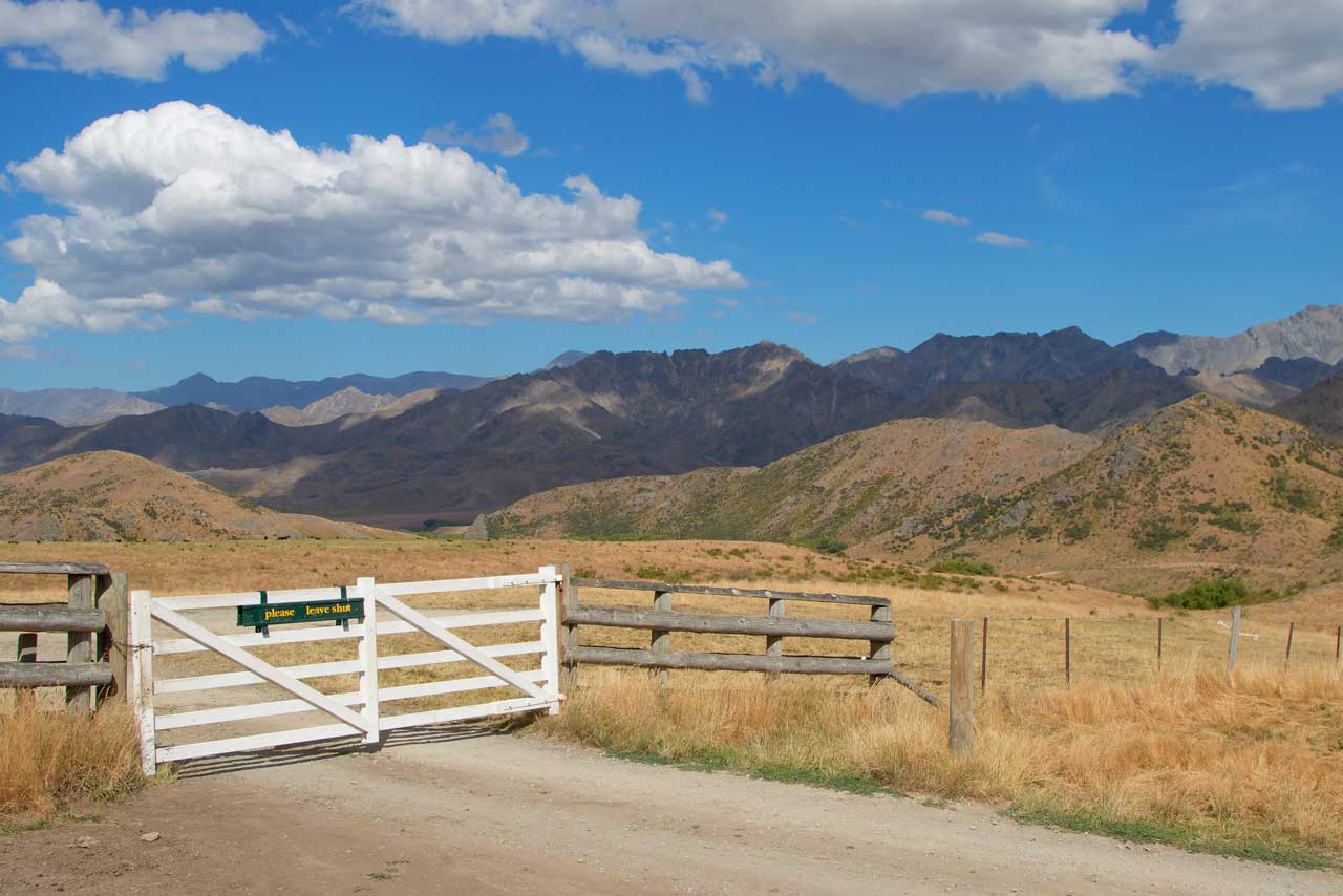 Molesworth Station Tour