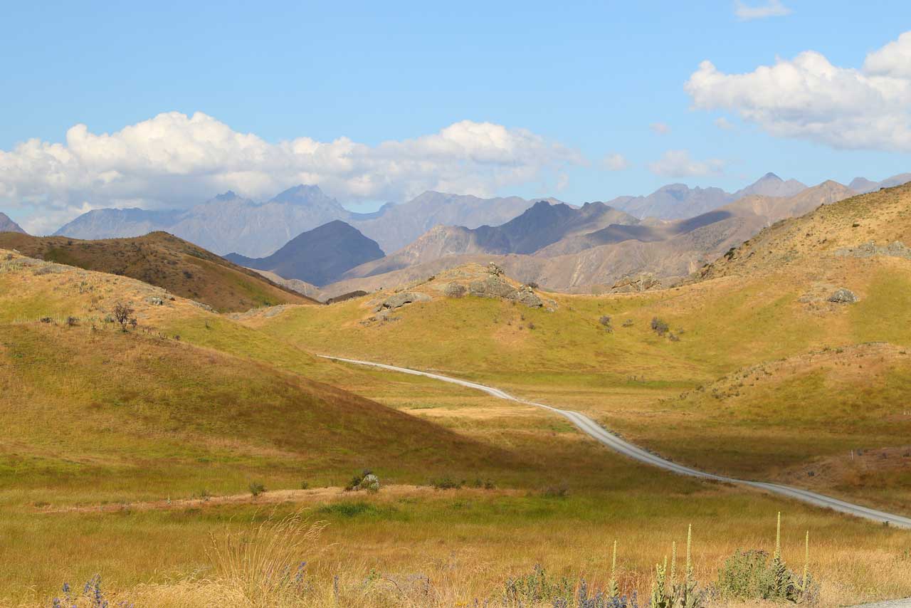 Molesworth Station Tour