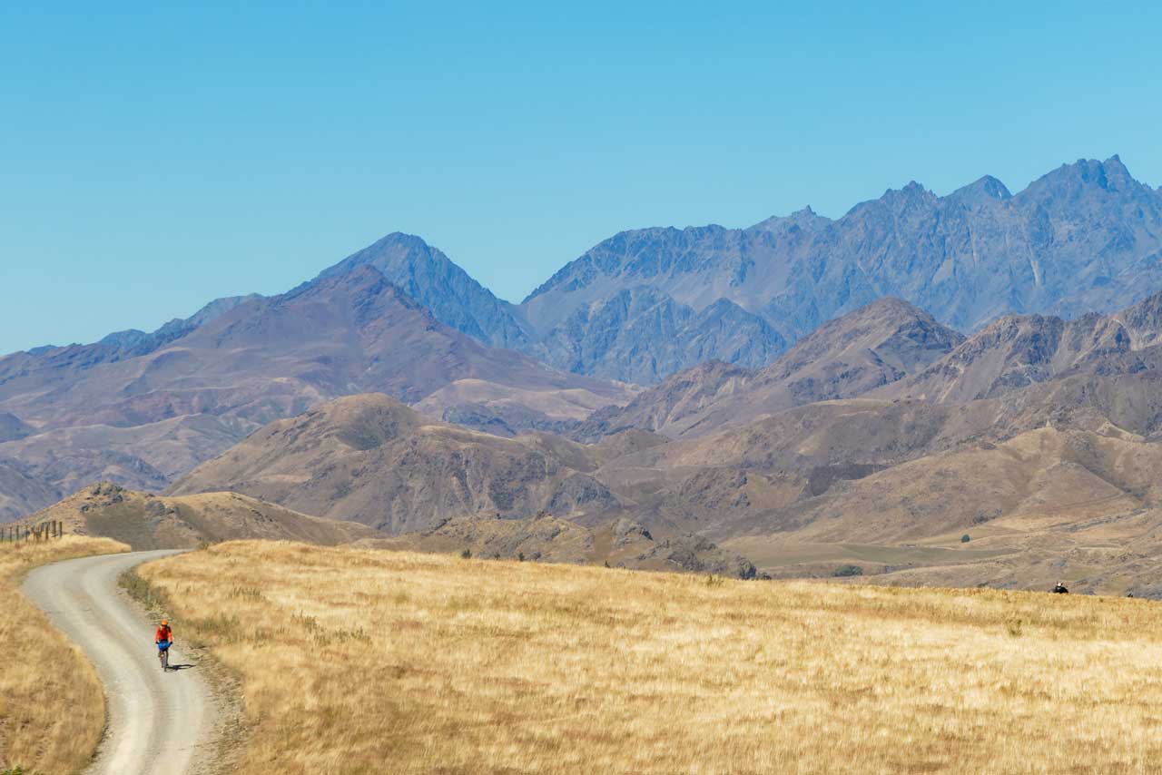 Molesworth Station Tour