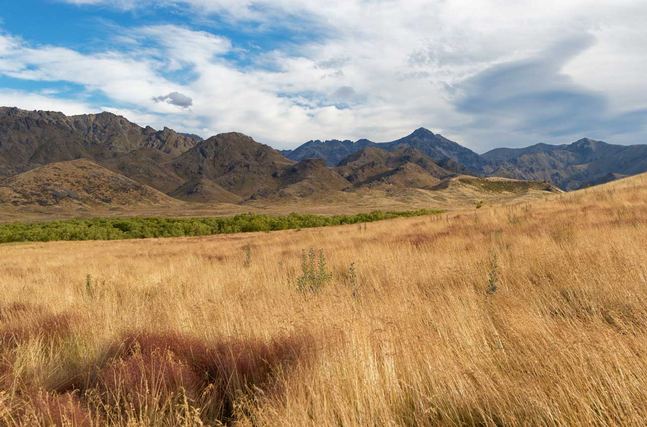 Molesworth Station Tour