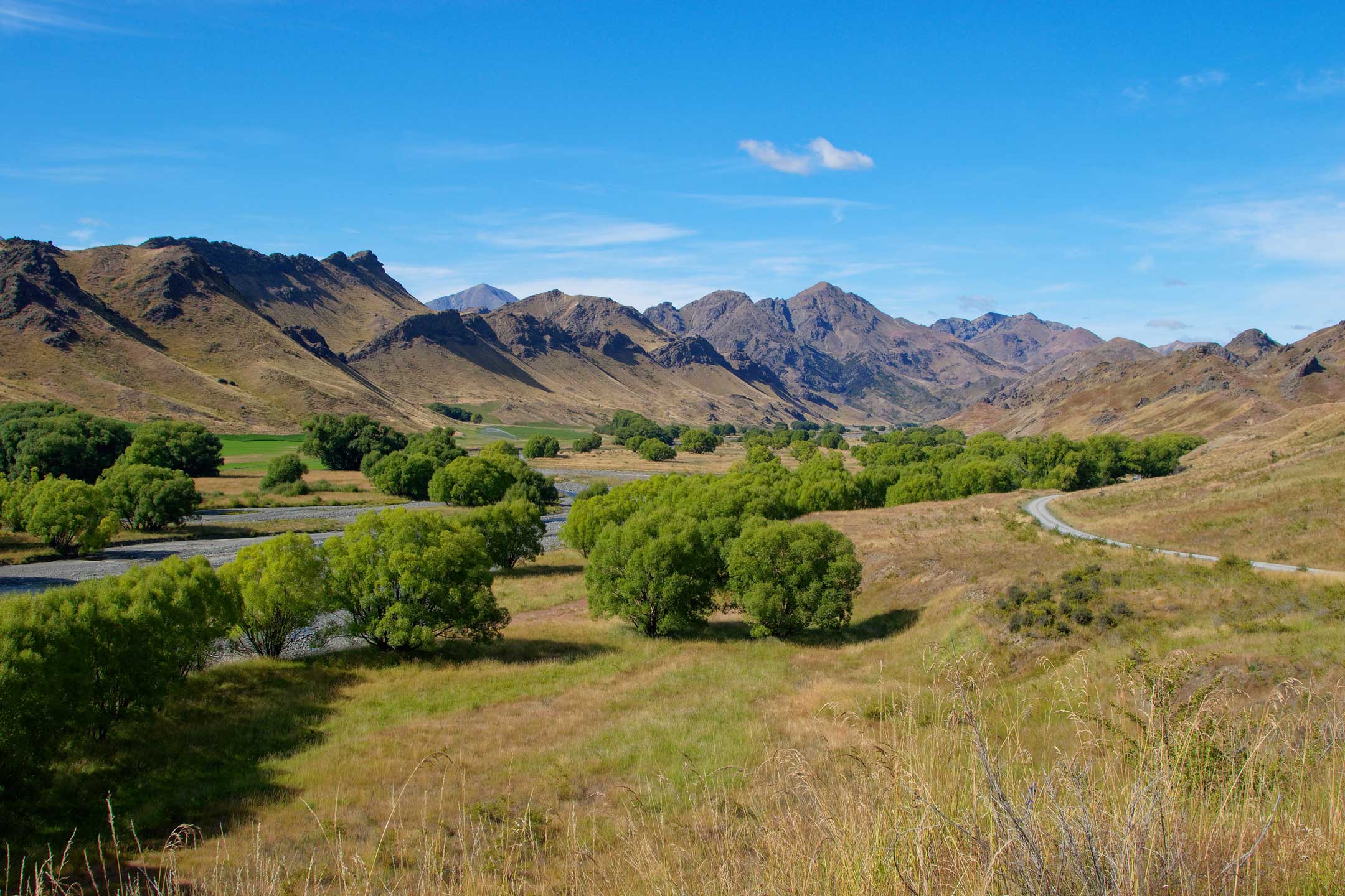 Molesworth Station Tour